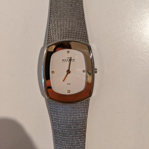 Skagen Denmark Women\'s Stainless Steel Watch